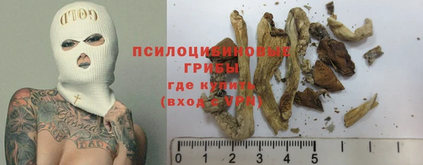 первитин Арсеньев