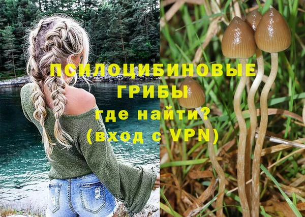 молекула духа Протвино